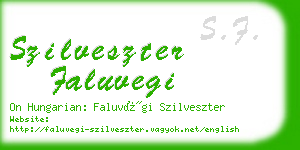 szilveszter faluvegi business card